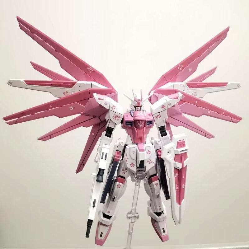 JMS HG 1/144 ZY-06 Freedom Ass – Bandai Gundam Hg recenzja i cena