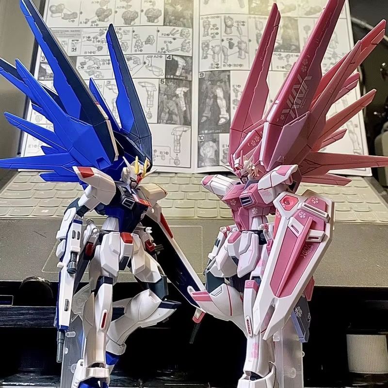 JMS HG 1/144 ZY-06 Freedom Ass – Bandai Gundam Hg recenzja i cena